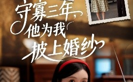短剧《守寡三年，他为我披上婚纱（49集）王芸伊 (2025)》全集免费在线观看