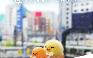 动漫《蛋黄哥大冒险（10集全）》高清HD1080p完整版在线免费观看