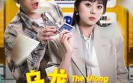 短剧《乌龙升职法则 (2025)》全集免费在线观看
