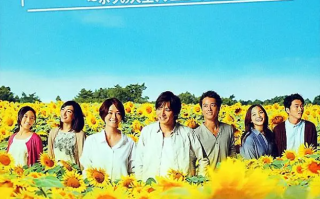 日剧《迟开的向日葵（10集全）》高清HD1080p完整版在线免费观看