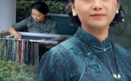 短剧《璀璨人生 (2024)》全集免费在线观看