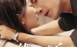 短剧《傅总别虐了，夫人早把离婚书签好了 (2024)》全集免费在线观看