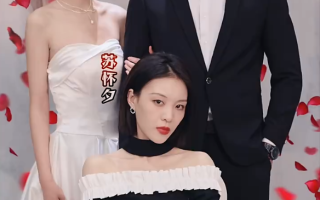 短剧《离婚后，沈总满世界追妻（100集全）》免费观看