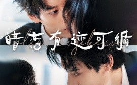 短剧《暗恋有迹可循 (2024)》全集免费在线观看