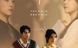 短剧《离开后，顾先生开始爱我 (2025)》全集免费在线观看