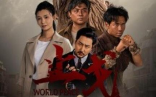 短剧《止戈（1-65集）》全集免费在线观看