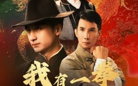 短剧《我有一拳定山河 (2024)》全集免费在线观看