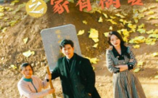 短剧《首富回乡之家有祸妻（32集全）》免费在线观看