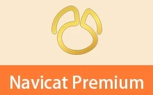数据库管理工具 | Navicat Premium（v17.3.10.0）