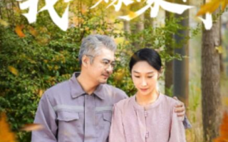 短剧《离婚后，我二嫁豪门（1-36集）》全集免费在线观看