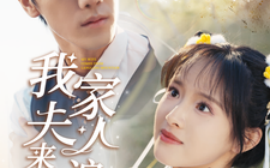 短剧《我家夫人来自浪浪山 (2025)》全集免费在线观看