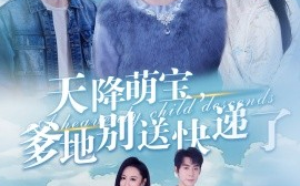 短剧《天降萌宝，爹地别送快递了 (2025)》全集免费在线观看