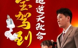 短剧《萌宝驾到爹地逆天改命 (2025)》全集免费在线观看