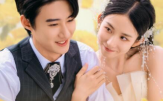 短剧《冷面机长的好孕甜妻（1-78集）》全集免费在线观看