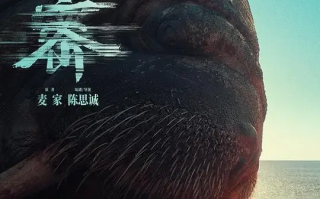 解密 Decoded (2024)高清蓝光4k免费在线观看
