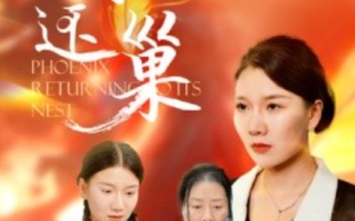 短剧《凤还巢（100集全）》免费观看