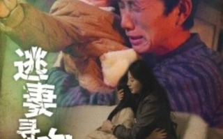 短剧《逃妻寻女路（1-85集）》全集免费在线观看