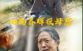短剧《细雨春晖报母恩（30集）周婷&夏家顺 (2025)》全集免费在线观看