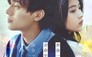 电影《余生一年的我，遇见了的余生半年的你的故事》高清HD1080p完整版在线免费观看