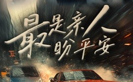 短剧《最是亲人盼平安 (2024)》全集免费在线观看