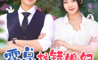 短剧《霍总找错媳妇撩对人（68集全）》免费观看