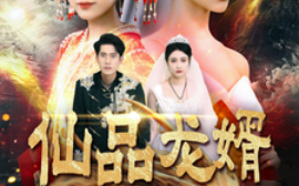 短剧《仙品龙婿 (2025)》全集免费在线观看