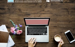 笔记本专用Win10 64位专业版 V2021.06(21H1 正式版)