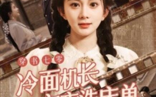 短剧《穿书七零冷面机长夜夜洗床单（60集全）》免费观看