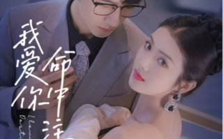 短剧《我爱你命中注定（95集全）》免费观看
