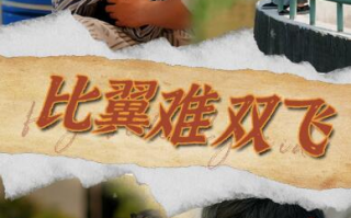 短剧《比翼难双飞（1-30集）》全集免费在线观看