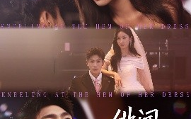 短剧《绯闻夫妇（80集）张培宝 (2025)》全集免费在线观看 