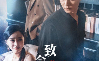 短剧《致命婚姻(86集全)》免费观看