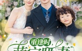 短剧《重逢时，萌宝哑妻好难哄（60集）温宇＆魏凡舒 (2025)》全集免费在线观看