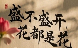 短剧《盛不盛开，花都是花 (2025)》全集免费在线观看