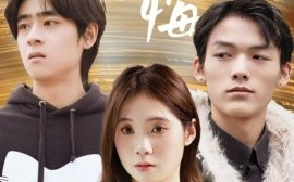 短剧《迟爱无悔（65集）(2025)》全集免费在线观看