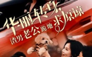 短剧《华丽转身，渣男老公跪地求原谅（30集全）》免费在线观看