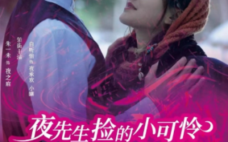 短剧《夜先生捡的小可怜美人有太多的心眼（100集全）》免费观看