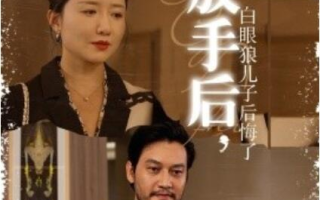 短剧《放手后，白眼狼儿子后悔了（1-54集）》全集免费在线观看
