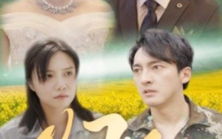 短剧《归途（52集全）》免费观看
