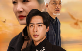 短剧《淬火（60集）郑念&刘美一 (2025)》全集免费在线观看