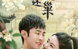 短剧《引凤还巢（100集）(2025)》全集免费在线观看