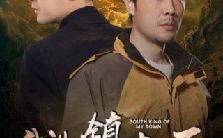 短剧《我儿镇南王（97集全）》免费观看
