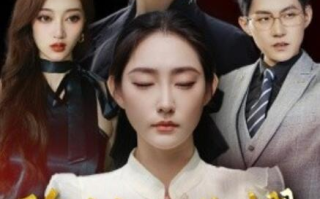 短剧《隐秘的荣耀（35集全）》免费观看