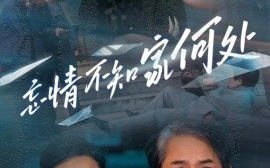 短剧《忘情不知家何处 (2025)》全集免费在线观看