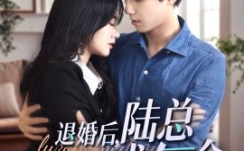 短剧《退婚后，陆总每天求复合 (2024)》全集免费在线观看