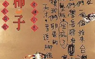 红柿子 (1997)高清蓝光4k免费在线观看