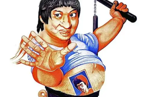 肥龙过江 (1978)高清蓝光4k免费在线观看