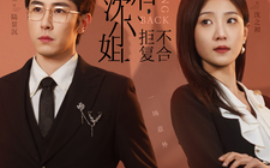 短剧《双重生后，沈小姐拒不复合 (2025)》全集免费在线观看