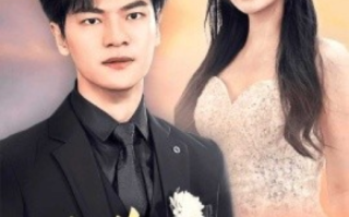 短剧《为你逆光而行（为了你我愿意放弃全世界）27集全》免费观看
