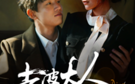 短剧《老婆大人下手轻点（30集）(2025)》全集免费在线观看